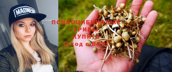 гидропоника Володарск