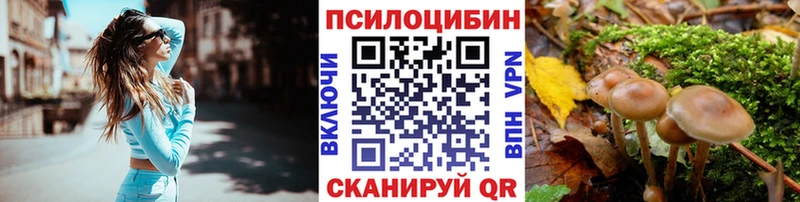 Псилоцибиновые грибы GOLDEN TEACHER Чебоксары